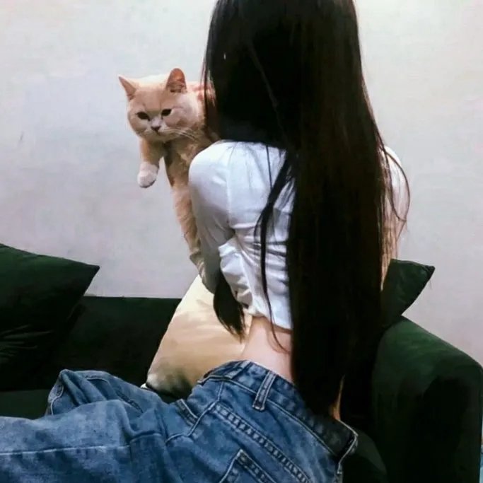 出发吧!短剧内蒙古篇